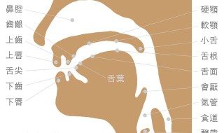 英语发音嘴型怎么都不标准 按下文多练习