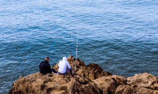用拉耳如何保证上鱼率 拉饵学会这5个小窍门上鱼率提高10倍