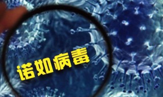 诺如病毒感染几天自愈 有何症状