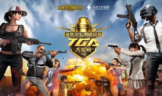 刺激战场极寒模式哪里鸡多 鸡有什么用