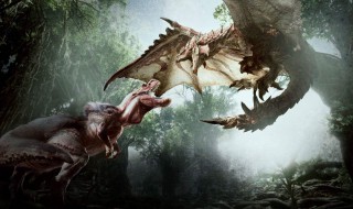 冥灯龙弱什么属性 怪物猎人冥灯龙的物理弱点在哪里