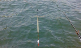 七星漂钓跑铅怎样调漂 七星漂的调漂方法介绍