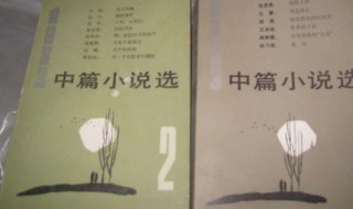 怎样写好中篇小说呢 参考方法