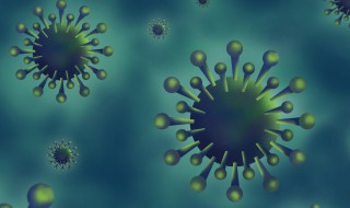 什么是零号病人 网络上的零号病人传闻是怎么回事