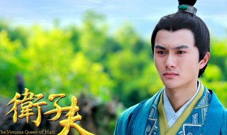 卫子夫电视剧演员表 快来看具体的演员都有谁