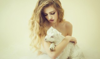 宠物狗的品种有哪些 宠物狗的品种盘点