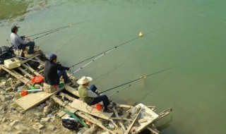 自制自动钓鱼器 你会吗