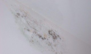 阳台顶发霉说明漏水 发霉的位置说明是漏水导致的