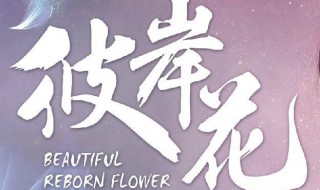 电视剧彼岸花男主是宋威龙吗 电视剧内容介绍