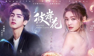 电视剧彼岸花男主是谁 这部剧剧情是什么