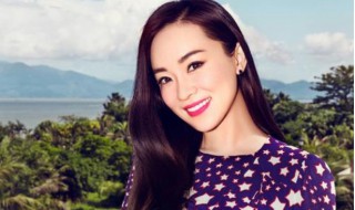 霍思燕所演的电视剧 霍思燕的人气