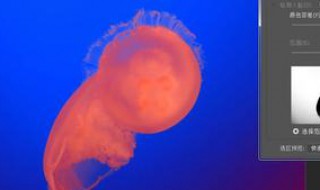 色彩范围抠图怎么更准 什么办法好一点