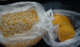 自制钓鱼底料 钓鱼底料制作方法