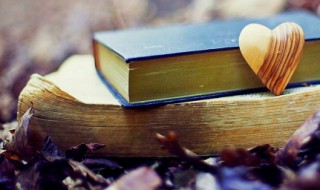 每晚一句给女孩的问候 对女生每天早上一句问候