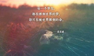 至理名言心灵鸡汤 至理名言 心灵鸡汤