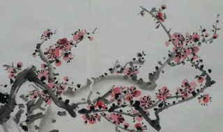 梅花与那两个被称为岁寒三友 梅花和谁被称为岁寒三友