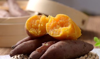 红薯苗的培育方法 红薯苗的培育方法和时间