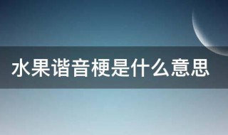 水果谐音梗是什么意思 水果谐音梗是什么意思啊