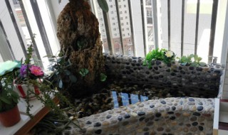 大鱼池除藻有什么为方法（鱼池如何清除藻）