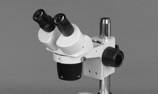 光学显微镜的使用操作步骤 光学显微镜的使用操作步骤是