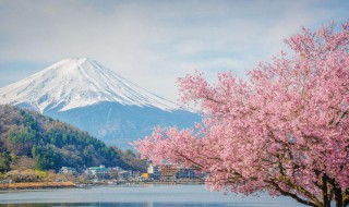 日本做客礼仪是什么 日本的做客礼仪