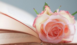 人生五句话句句经典 人生经典句子12句