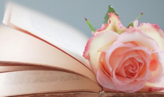 爱情哲理的句子 关于爱情哲理的句子