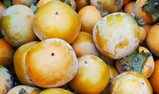 冷冻柿子快速脱涩方法 冷冻柿子快速脱涩方法图解