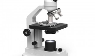 显微镜使用注意事项步骤 显微镜使用的步骤和注意事项