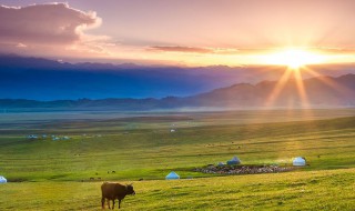 那拉提汉语是什么意思（那拉提的汉语意思）