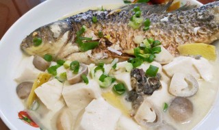 十个月鲫鱼豆腐汤的做法（十个月宝宝鲫鱼豆腐汤的做法）