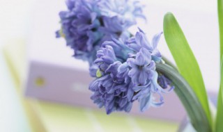 吸引人秒赞句子(吸引人精辟句子点赞)