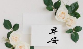 早安让人看了舒服句子 早安让人看了舒服句子图片