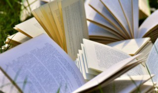 社会人的文案短句干净 特别干净的文案句子