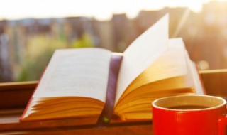 关于二月唯美句子 关于二月唯美句子短句