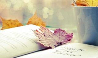 努力文案短句温柔干净（文案短句干净治愈）