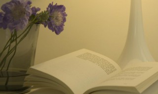 句子发朋友圈简单气质一句话 说说简单气质一句话发朋友圈的话