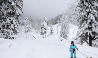 适合冬天发的朋友圈文艺句子（适合冬天发的朋友圈文艺句子简短）