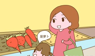 小孩不喜欢吃青菜怎么解决（小孩不喜欢吃青菜怎么解决方法）