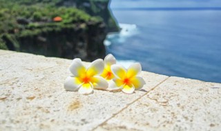 关于9月你好的励志说说（9月你好励志语）