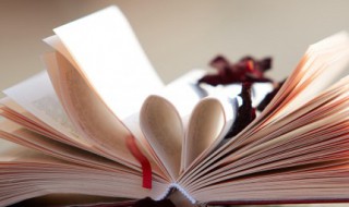 正能量励志经典的句子 励志 正能量的句子