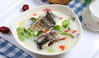 什么鱼做汤好喝又营养 什么鱼做汤好喝又营养价值视频