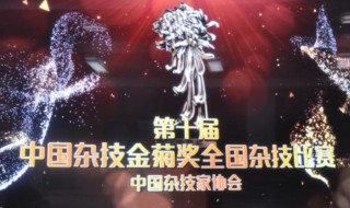 金菊花奖什么意思（菊花奖是什么梗）