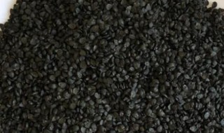 韭菜子的功效及作用（韭菜子的功效及作用及禁忌）