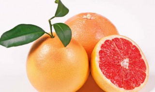 柚子能和柠檬一起榨汁吗（柚子和柠檬可以一起榨汁吗）