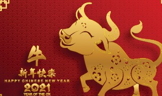 本命年文案（本命年文案短句）