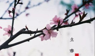 2021年立春简短优美祝福语文案 2021年立春简短优美祝福语文案朋友圈