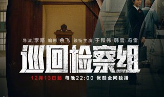 巡回检察组郑锐是谁演的（巡回检察组郑锐的演员）