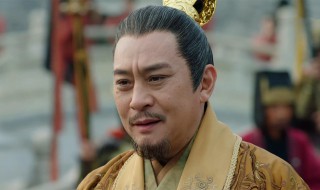 萧綦是皇帝吗（萧綦是皇上吗）