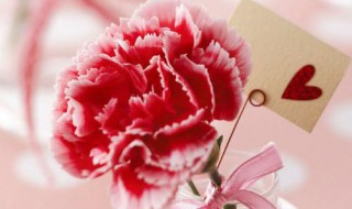 母亲节送花的祝福语（母亲节送花的祝福语简短）